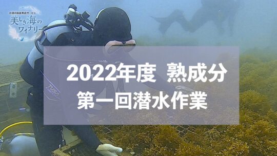 2022年度熟成分　第一回潜水作業へ！