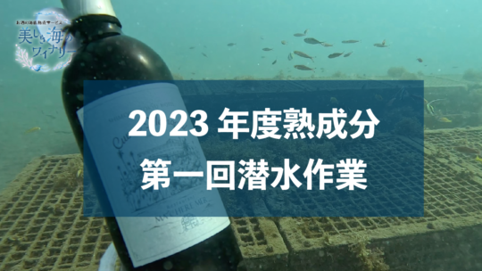 2023年度熟成分　第1回潜水作業へ！