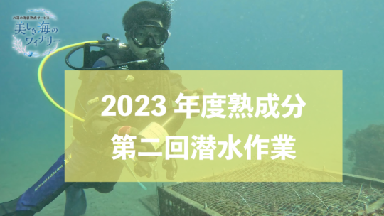2023年度分　第２回潜水作業へ
