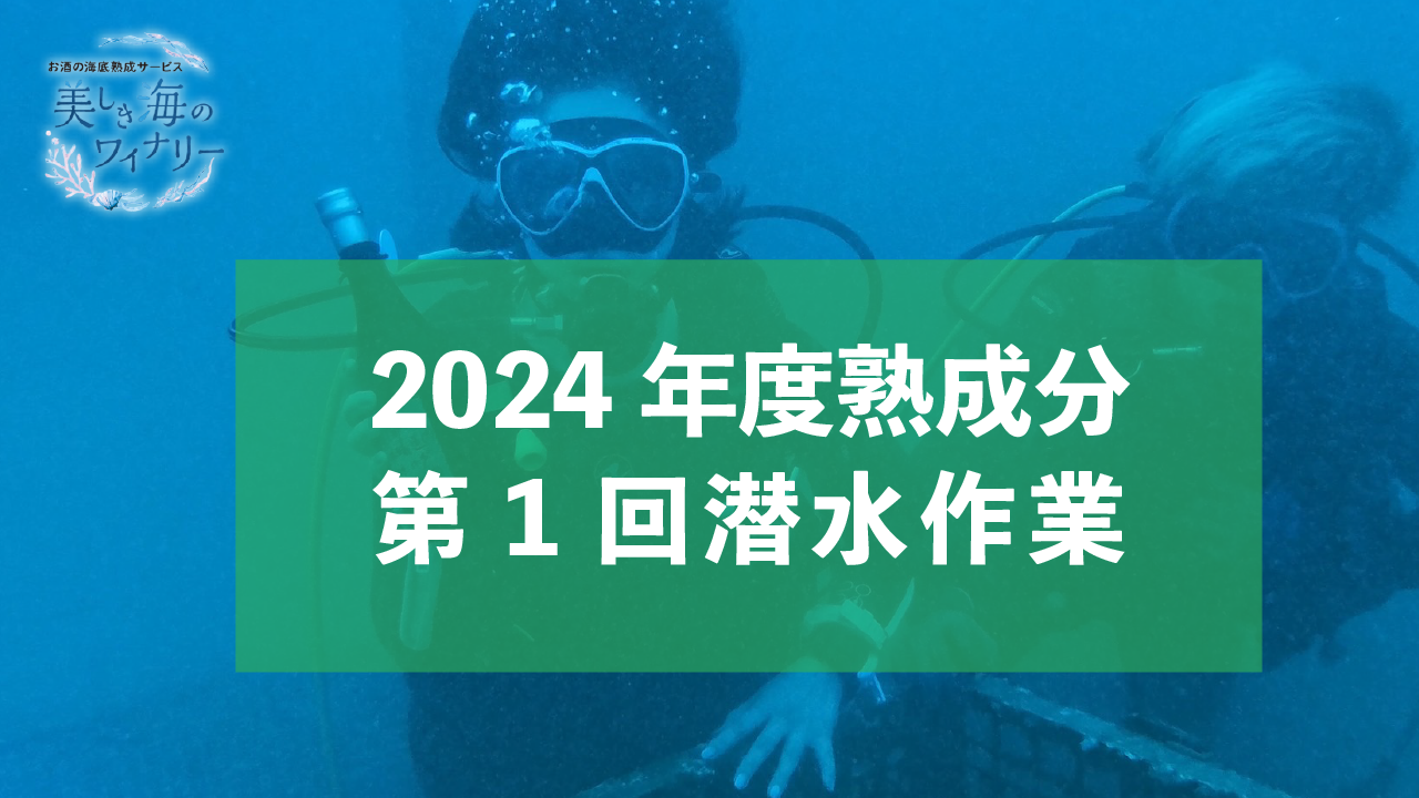 2024年度熟成分　第一回潜水作業へ