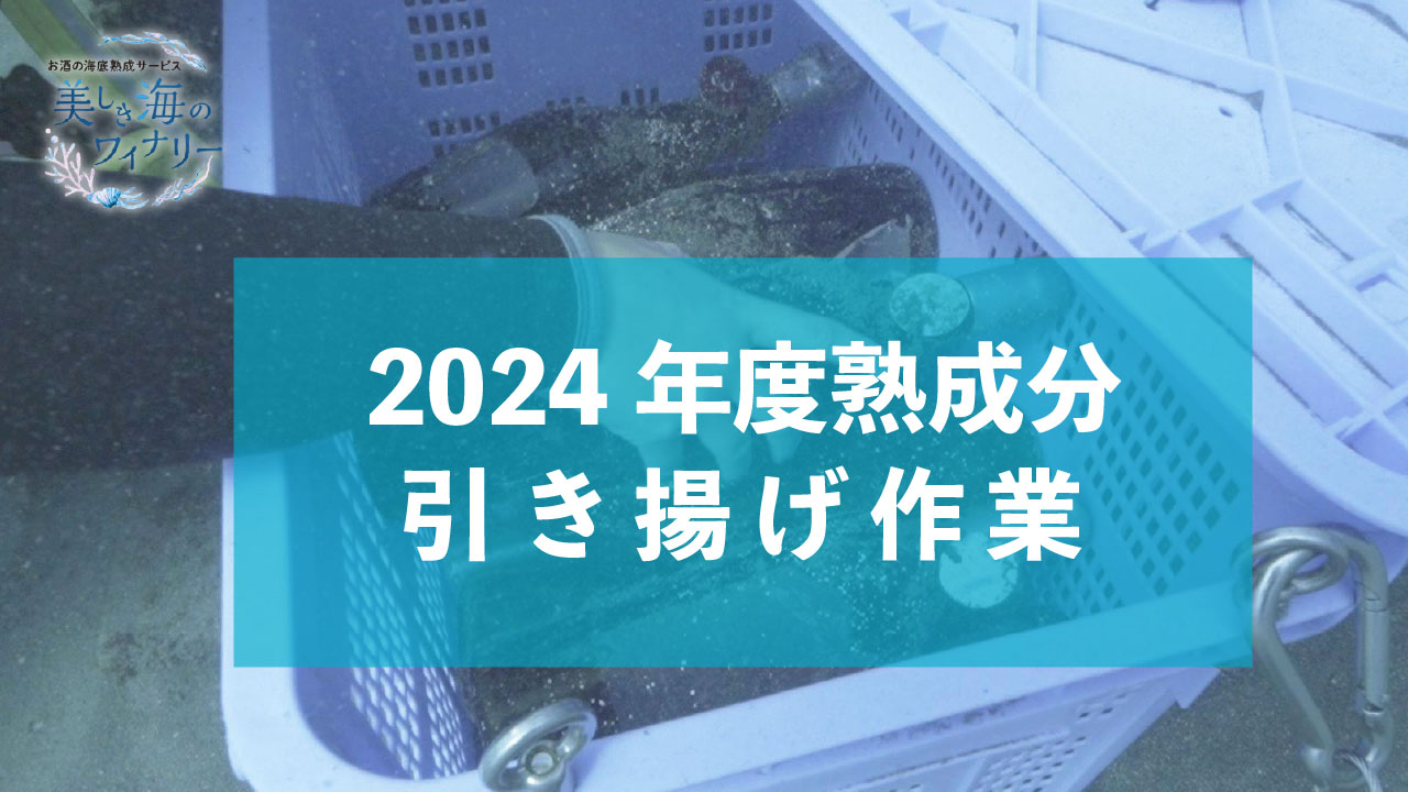 2024年度熟成分 引き揚げへ