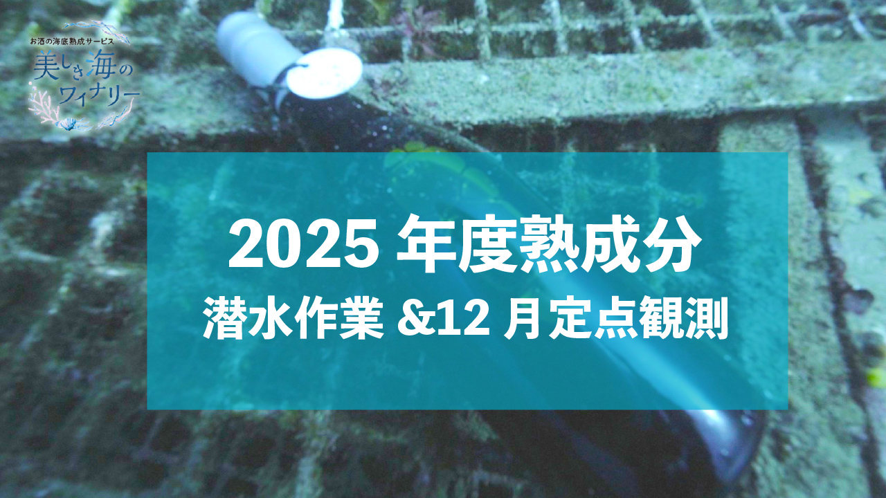 2025年度　第一回目の定点観測へ