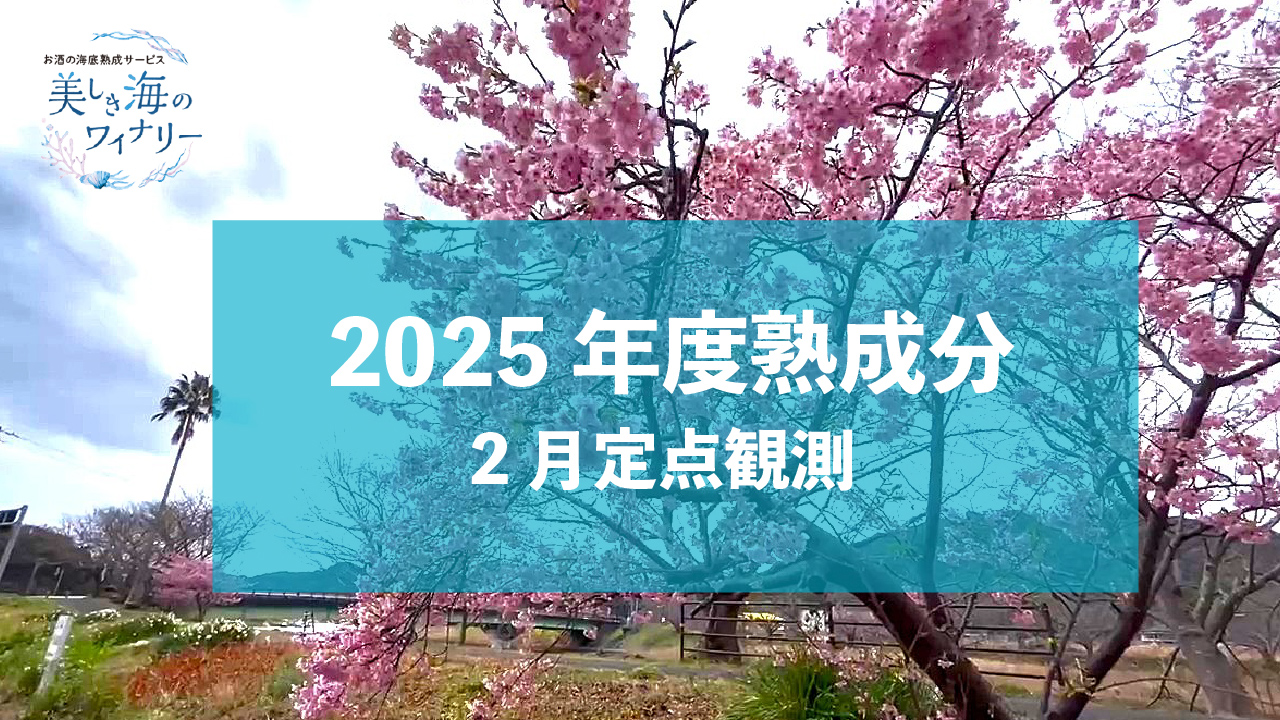 2025年度熟成　第2回目の定点観測へ