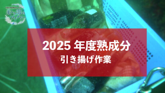 2025年度熟成分　引き揚げ作業