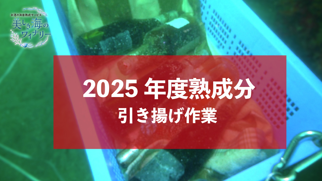 2025年度熟成分　引き揚げ作業